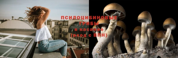 СК Володарск