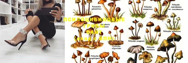 прущая мука Волосово
